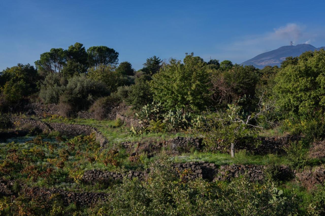 Casa Museo A' Rina Villa Belpasso Buitenkant foto